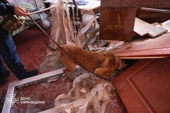 На Харківщині російські дрони атакували Докучаєвське та Руську Лозову